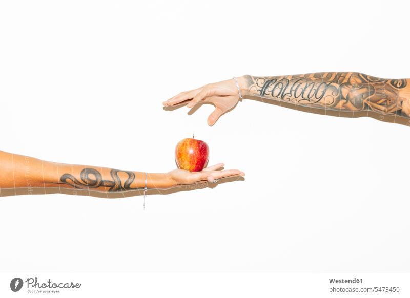 Die Hand einer Frau bietet einem Mann einen Apfel an Äpfel Aepfel Hände Paar Pärchen Paare Partnerschaft anbieten Obst Früchte Essen Food Food and Drink