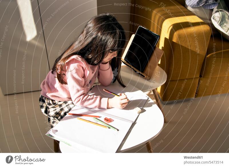 Mädchen macht Hausaufgaben im Wohnzimmer Leute Menschen People Person Personen Europäisch Kaukasier kaukasisch 1 Ein ein Mensch eine nur eine Person single Kids