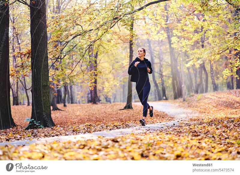 Junge Frau joggt im Herbstwald Leute Menschen People Person Personen 1 Ein ein Mensch eine nur eine Person single erwachsen Erwachsene Frauen weiblich jung