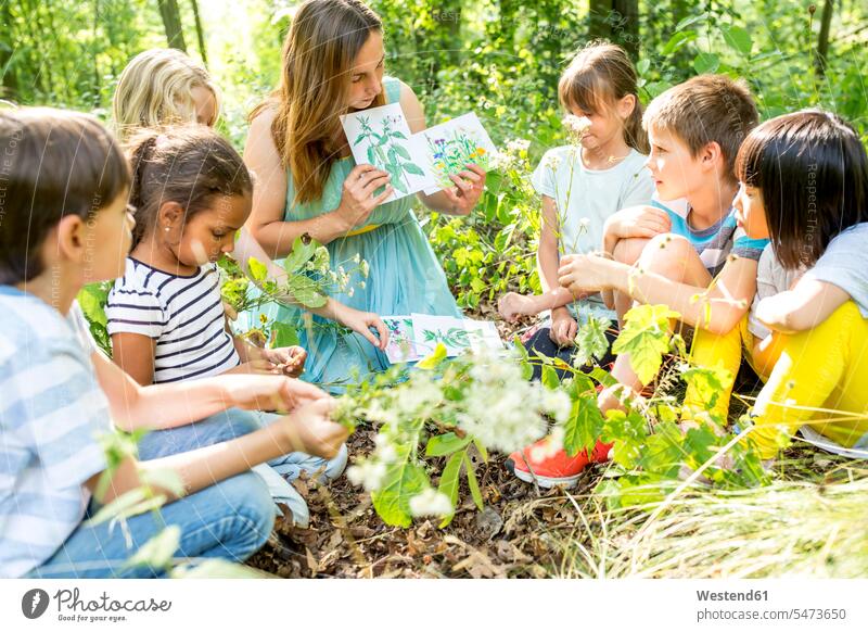 Schulkinder lernen, Pflanzen in der Natur zu erkennen Lehrerin Zeichnung grün erkunden Wissen Ausflug Außenaufnahme Tag forschen Freizeitkleidung Ökologie