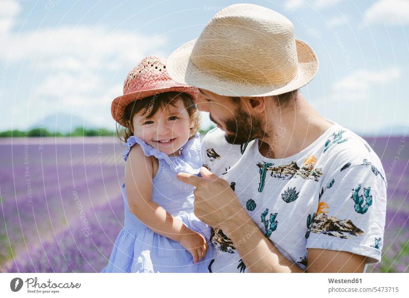 Frankreich, Provence, Hochebene von Valensole, glückliche Vater und Tochter im Sommer auf Lavendelfeldern Lavandula Töchter Glück glücklich sein glücklichsein
