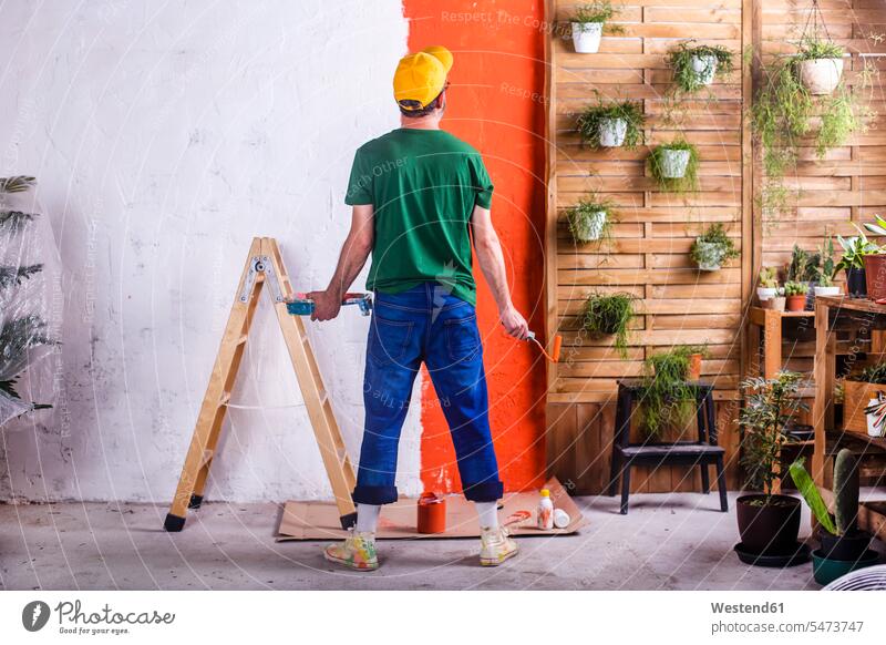 Rückansicht eines Mannes, der eine orangefarbene Wand in seiner Gartenterrasse malt Leute Menschen People Person Personen Europäisch Kaukasier kaukasisch 1 Ein
