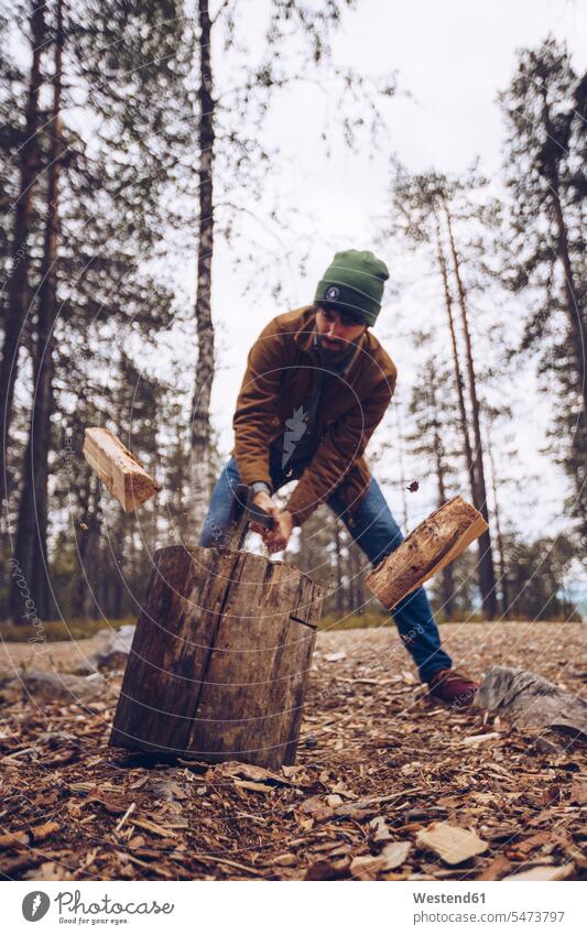 Junger Mann hackt Holz im Wald stehen stehend steht Forst Wälder junger Mann junge Männer hacken hoelzern hölzern männlich Erwachsener erwachsen Mensch Menschen