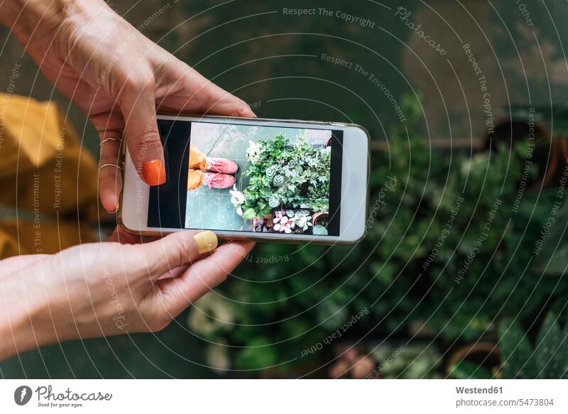 Nahaufnahme einer Frau, die mit einem Smartphone Pflanzen fotografiert Job Berufe Berufstätigkeit Beschäftigung Jobs Bilder Bildnis Fotos Telekommunikation