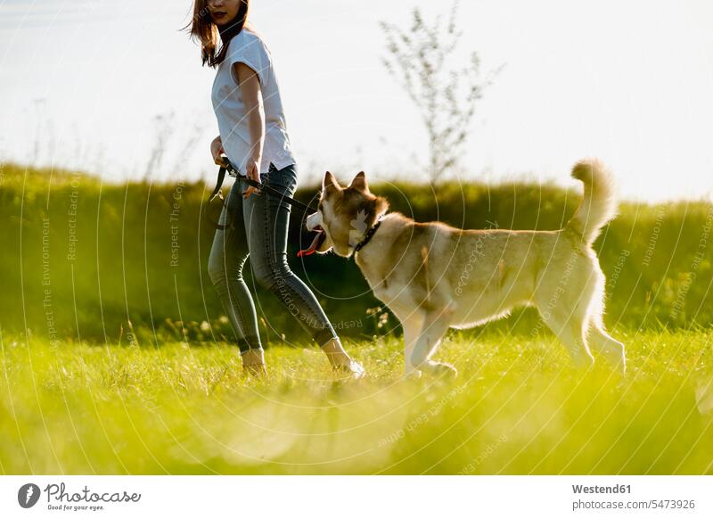 Junge Frau rennt mit ihrem Hund auf einer Wiese Tiere Tierwelt Haustiere Hunde T-Shirts rennen abends Jahreszeiten sommerlich Sommerzeit auf dem Land