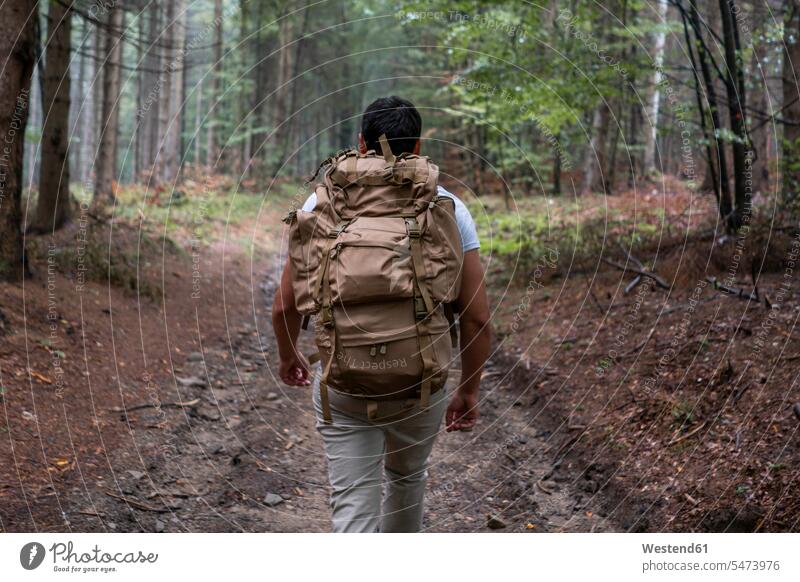 Bulgarien, Balkan-Gebirge, Wanderer mit Rucksack auf Wanderweg, Rückansicht wandern Wanderung Mann Männer männlich Wanderwege Fußweg Pfad Allein alleine einzeln