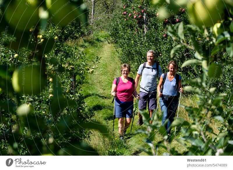 Italien, Südtirol, Vinschgau, Naturns, Apfelrille, Wanderer Freizeit Muße Freunde Gemeinsam Zusammen Miteinander Wanderin Wanderinnen Wandertour wandern