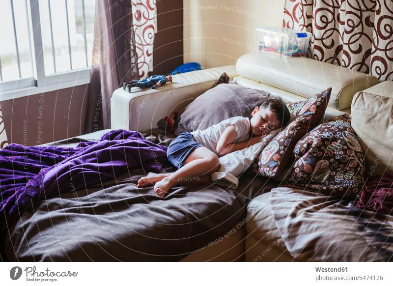 Kleiner Junge schläft morgens auf der Bettcouch Leute Menschen People Person Personen Europäisch Kaukasier kaukasisch 1 Ein ein Mensch nur eine Person single