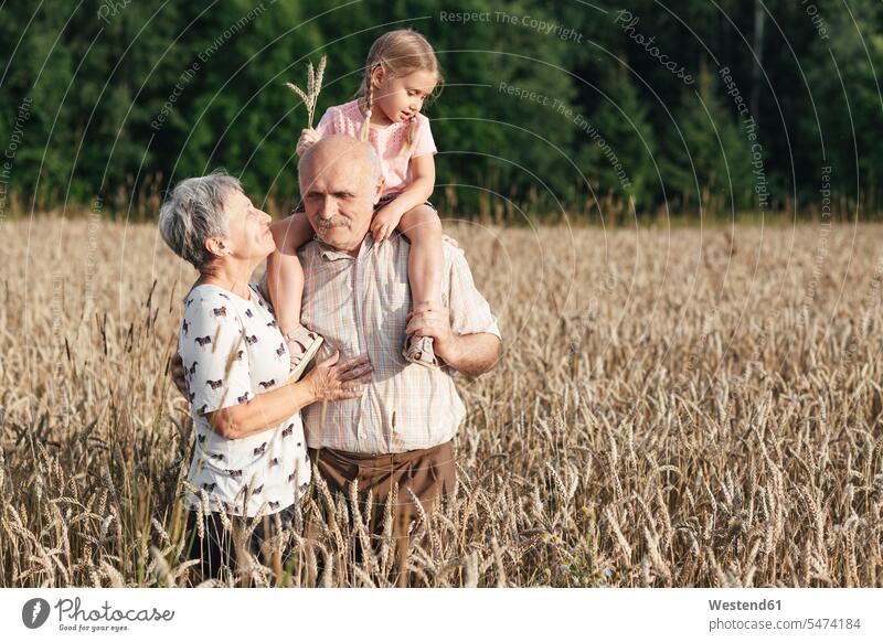 Familienporträt der Großeltern mit ihrer Enkelin in einem Haferfeld Generation freuen Glück glücklich sein glücklichsein innig nah auf dem Land auf dem Lande