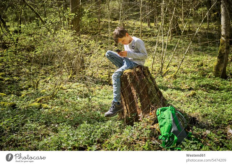 Junge in voller Länge auf Baumstumpf sitzend, während er im Wald der Schwäbischen Alb beim Wandern ein Smartphone benutzt Farbaufnahme Farbe Farbfoto Farbphoto