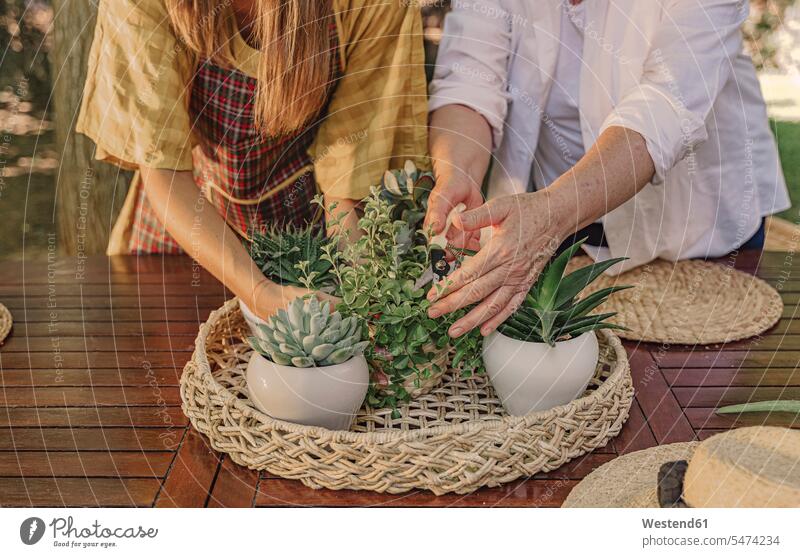 Mutter mit Tochter schneidet Pflanzen auf dem Tisch im Hof Farbaufnahme Farbe Farbfoto Farbphoto Spanien Freizeitbeschäftigung Muße Zeit Zeit haben