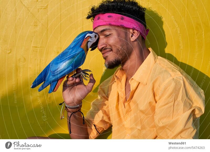 Junger schwarzer Mann posiert mit einem Papagei vor einer gelben Wand Hemden knuddeln schmusen freuen Glück glücklich sein glücklichsein innig nah zufrieden