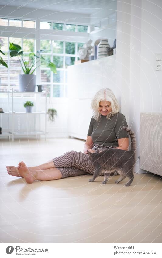 Rentnerin sitzt auf dem Boden und betrachtet die Katze in der Wohnung Farbaufnahme Farbe Farbfoto Farbphoto Dänemark Skandinavien Innenaufnahme Innenaufnahmen
