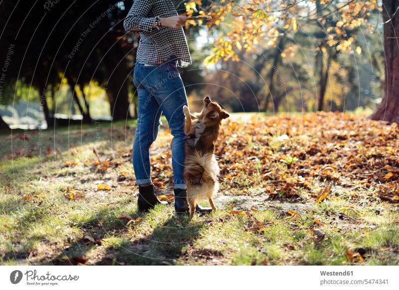 Junge Frau spielt mit Hund in einem Park Tiere Tierwelt Haustiere Hunde entspannen relaxen geniessen Genuss Muße Lifestyles Spass spassig spaßig Spässe Späße
