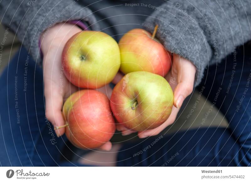 Hände halten vier Äpfel, Nahaufnahme Hand Apfel Aepfel Mensch Menschen Leute People Personen Obst Früchte Essen Food Food and Drink Lebensmittel