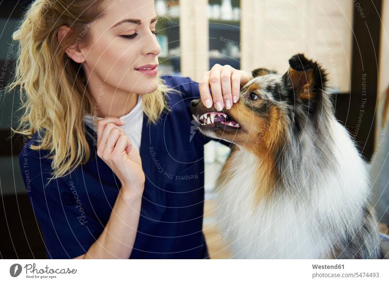 Tierärztin bei der Untersuchung der Zähne eines Hundes in der Tierarztpraxis Tierarztpraxen Tierärztinnen Veterinaerin Veterinärinnen Tieraerztinnen