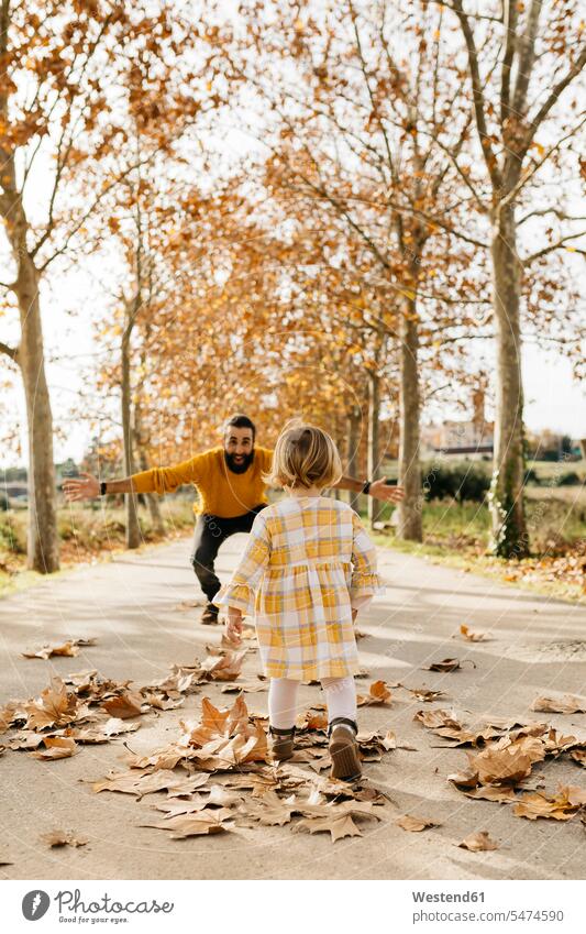 Vater und Tochter genießen einen morgendlichen Tag im Park im Herbst offene Arme mit offenen Armen Blatt Blaetter Blätter aufgeschlossen Aufgeschlossenheit
