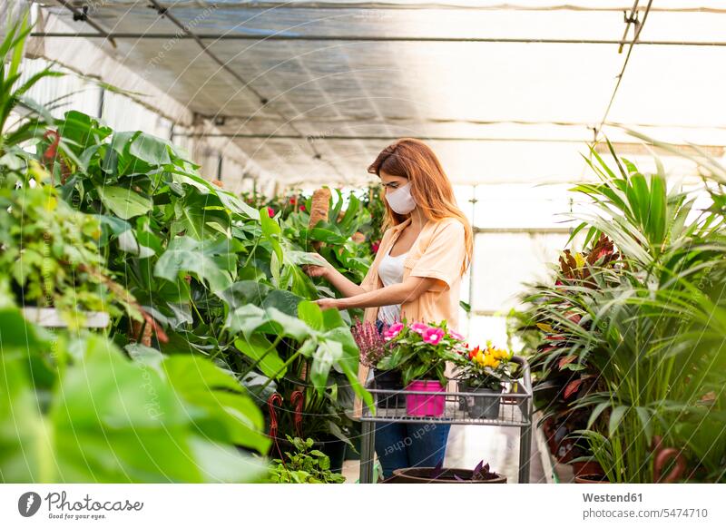 Geschäftsfrau sammelt Pflanze auf Karren, während sie im Gartenzentrum steht Farbaufnahme Farbe Farbfoto Farbphoto Innenaufnahme Innenaufnahmen innen drinnen