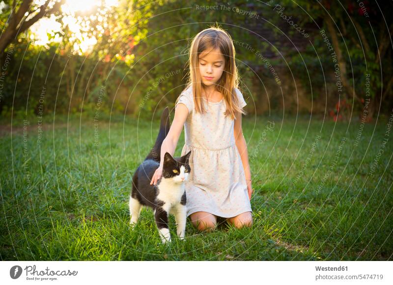 Porträt eines kleinen Mädchens, das eine Katze im Garten streichelt Katzen Portrait Porträts Portraits Gärten Gaerten streicheln weiblich Haustier Haustiere