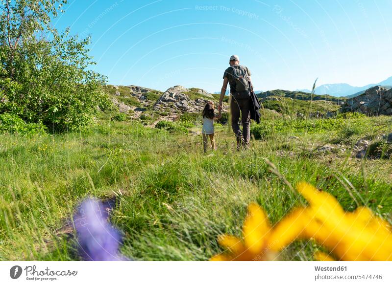 Vater und Tochter halten sich im Sommer beim Spaziergang im Gras an den Händen Farbaufnahme Farbe Farbfoto Farbphoto Außenaufnahme außen draußen im Freien Tag