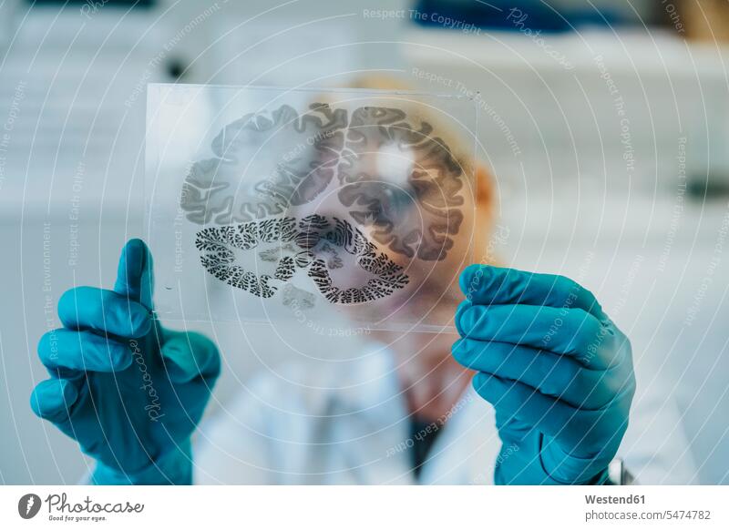 Wissenschaftler hält Objektträger eines menschlichen Gehirnmikroskops in der Hand, während er im Labor steht Farbaufnahme Farbe Farbfoto Farbphoto Innenaufnahme