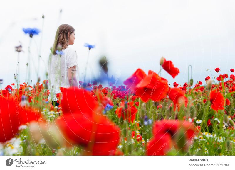 Frau geht inmitten von roten Mohnblumen auf Feld gegen Himmel Farbaufnahme Farbe Farbfoto Farbphoto Deutschland Außenaufnahme außen draußen im Freien Tag