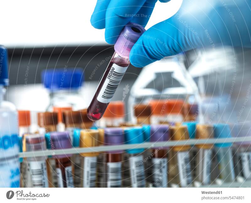 Männlicher Wissenschaftler hält Blutprobenfläschchen im Labor Farbaufnahme Farbe Farbfoto Farbphoto Wissenschaften wissenschaftlich Innenaufnahme Innenaufnahmen