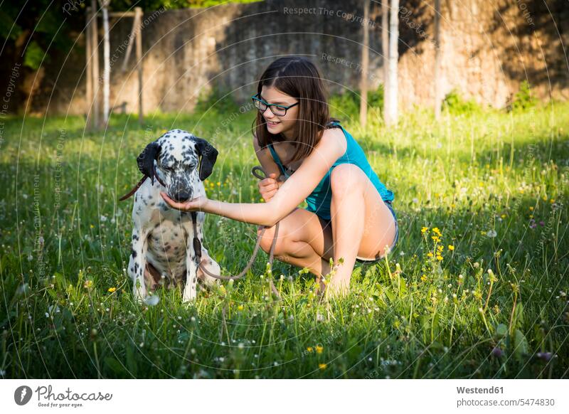 Mädchen füttert Dalmatiner im Garten lächeln Dalmatinac füttern Hund Hunde weiblich Gärten Gaerten Schweißhund Schweisshunde Schweißhunde Jagdhund Jagdhunde