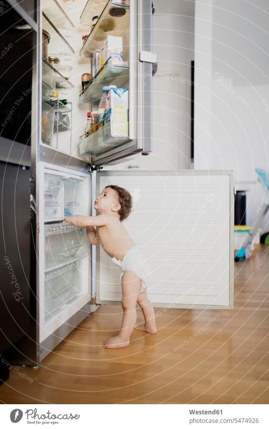 Baby Junge trägt Windel erforschen Kühlschrank in der Küche Kühlschränke Küchen männliche Babys männliches Baby männliche Babies Windeln erkunden Erforschung
