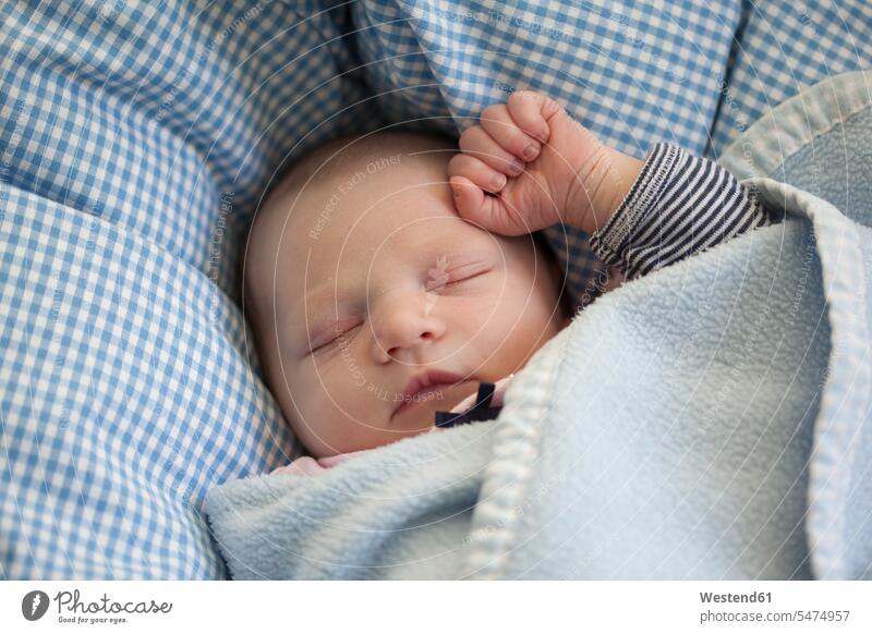 Porträt des schlafenden Baby-Mädchens weibliche Babys weibliches Baby weibliche Babies Portrait Porträts Portraits Säuglinge Kind Kinder Schlaf Mensch Menschen