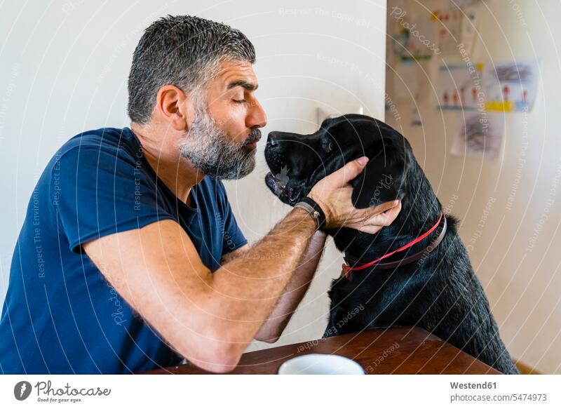 Mann spielt zu Hause mit Hund am Tisch Freunde Kameradschaft Tiere Tierwelt Haustiere Hunde T-Shirts Tische Holztische anfassen Berührung Farben Farbtoene