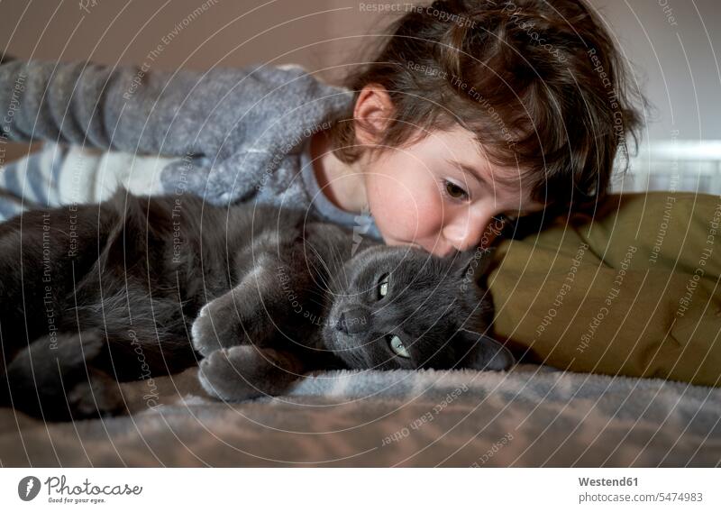 Kleinkind Mädchen küssen graue Katze auf dem Bett liegend Katzen tierlieb Tierliebe ein Tier 1 Einzelnes Tier eins einzeln Textfreiraum Häusliches Leben Wohnen