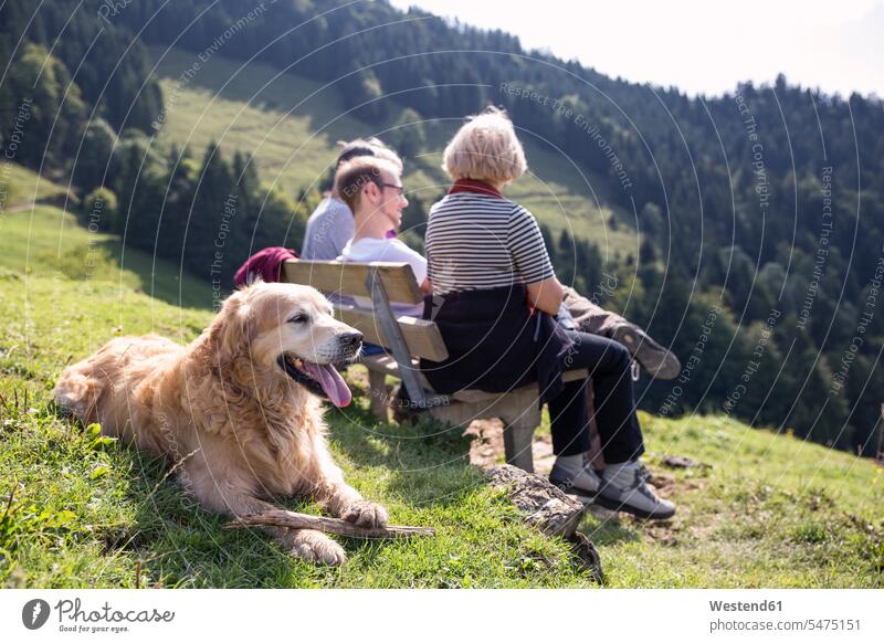 Österreich, Tirol, Kaisergebirge, Wanderer mit Hund rastend auf einer Bank in den Bergen Hunde Sitzbänke Bänke Sitzbank Gebirge Berglandschaft Gebirgslandschaft