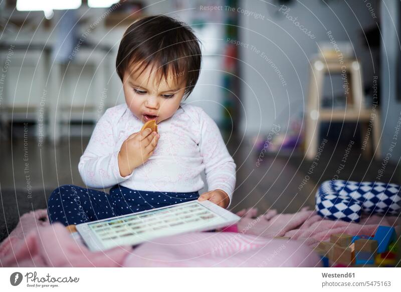 Baby-Mädchen sitzt auf dem Boden zu Hause essen einen Keks und mit Tablette sitzen sitzend weibliche Babys weibliches Baby weibliche Babies Böden Boeden