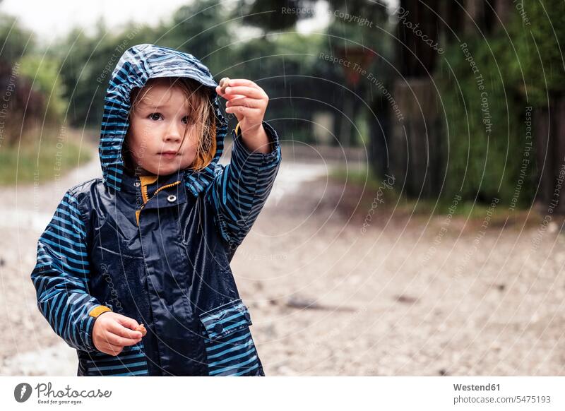 Bildnis eines kleinen Mädchens mit Schnecken in den Händen im Regen stehend Tiere Tierwelt Mollusca Mollusken Weichtier Gastropoda Kapuzen Farben Farbtoene