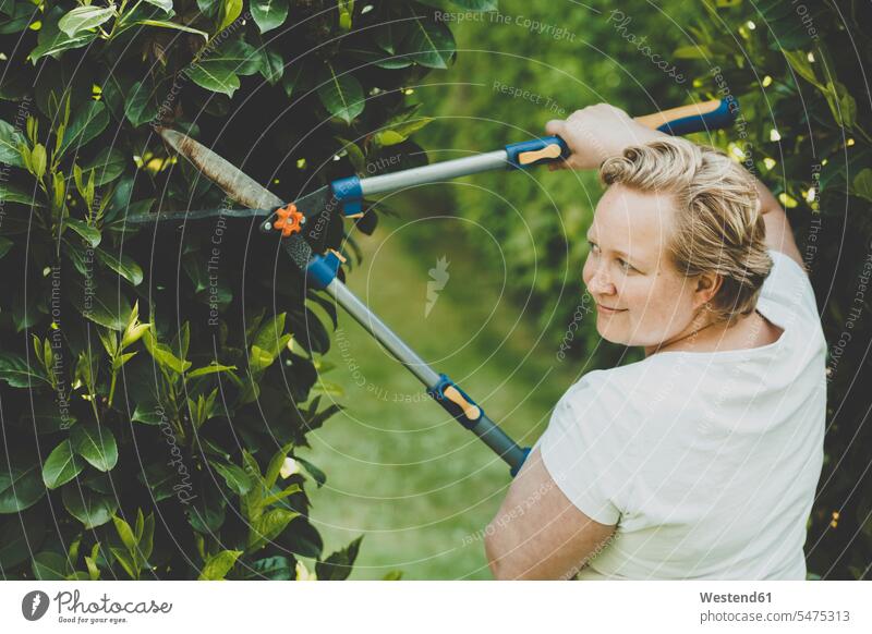 Eine Frau schneidet die Sträucher mit einer großen Gartenschere Europäer Kaukasier Europäisch kaukasisch Wachsen Wachstum Rückansicht Rueckansicht Rückenansicht