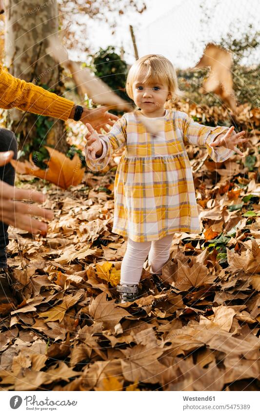 Vater und Tochter genießen einen Morgen Tag im Park im Herbst, werfen Herbstblätter Freude freuen Wurf Blatt Blaetter Blätter Papas Väter Vati Vatis Papis