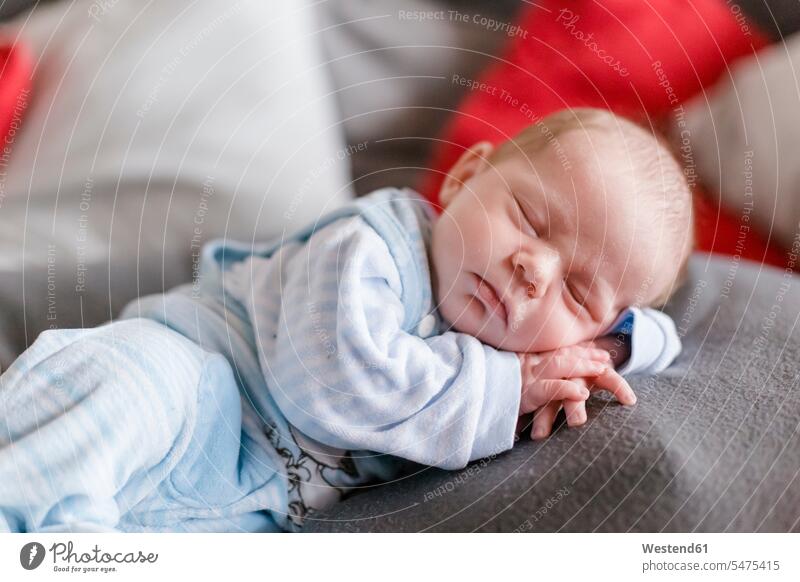Neugeborenes Baby Junge schläft auf einer Decke Decken entspannen relaxen schlafend entspanntheit relaxt behüten behütet geborgen Sicherheit zufrieden