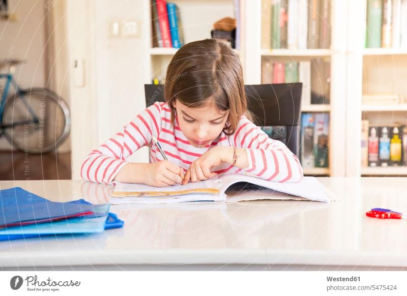 Kleines Mädchen macht Hausaufgaben weiblich Kind Kinder Kids Mensch Menschen Leute People Personen Bücherregal Bücherregale Wohnen Aufmerksamkeit aufmerksam