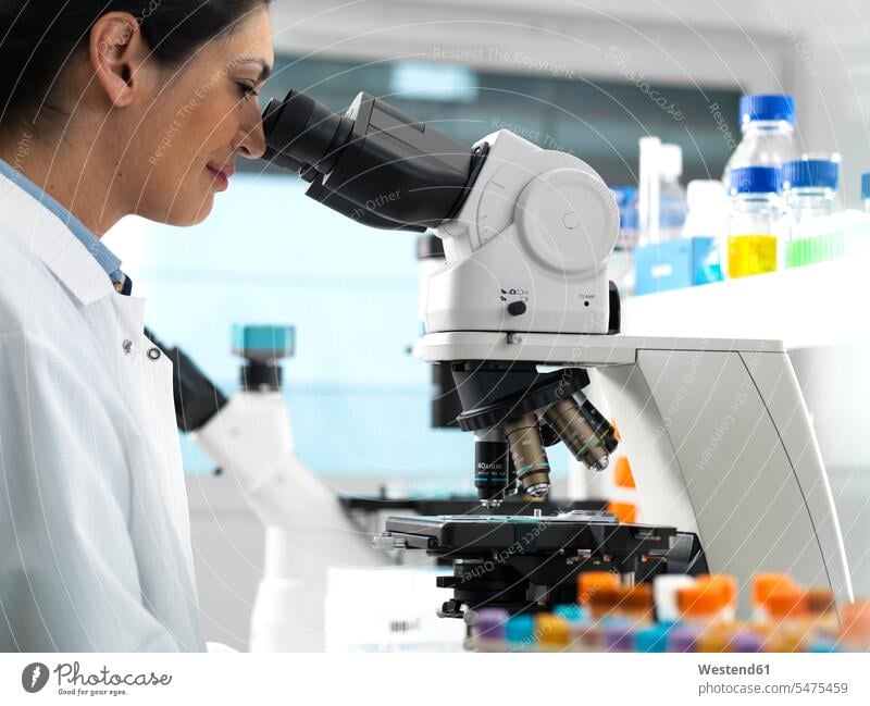 Labortechniker beim Betrachten von Objektträgern mit Blut und menschlichem Gewebe für die medizinische Analyse im Labor Job Berufe Berufstätigkeit Beschäftigung
