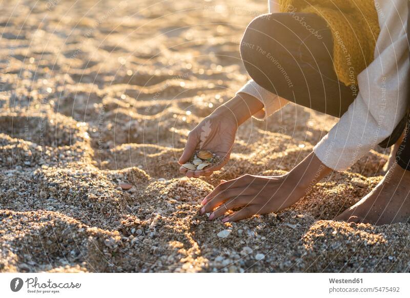 Frau sammelt Muscheln am Strand Beach Straende Strände Beaches Sand sandig Frau mittleren Alters Frauen mittleren Alters Muschelschale Muschelgehaeuse