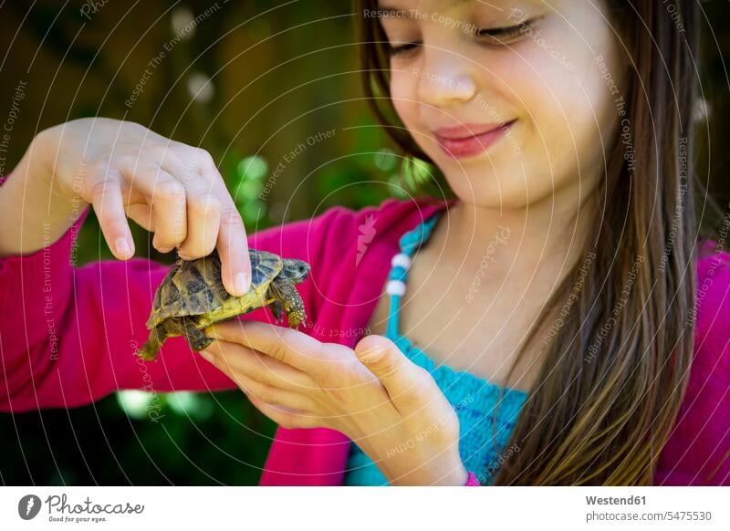 Lächelnde Mädchenhände halten kleine Schildkröte Leute Menschen People Person Personen Europäisch Kaukasier kaukasisch 1 Ein ein Mensch nur eine Person single