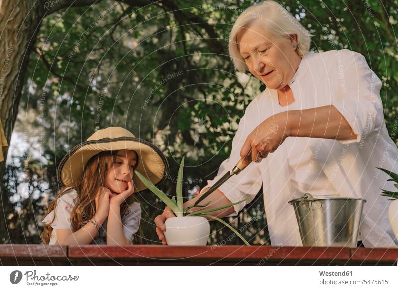 Großmutter pflanzt auf dem Tisch, während sie mit der Enkelin im Hof steht Farbaufnahme Farbe Farbfoto Farbphoto Spanien Freizeitbeschäftigung Muße Zeit