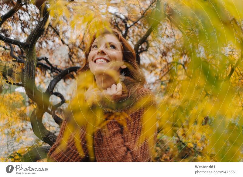 Porträt einer glücklichen Frau im Herbst Leute Menschen People Person Personen Europäisch Kaukasier kaukasisch 1 Ein ein Mensch nur eine Person single erwachsen