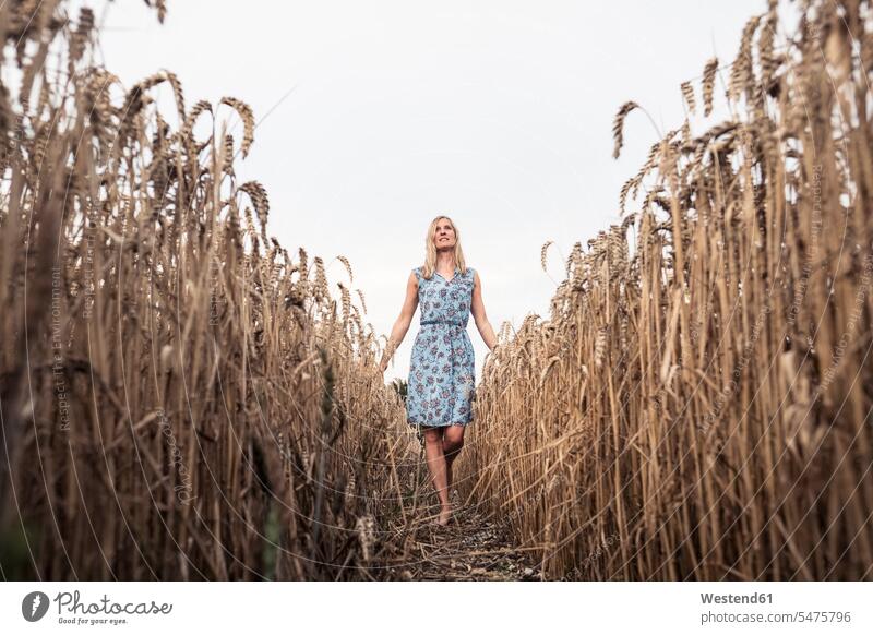 Barfüssige Frau geht in einem Weizenfeld ländliches Motiv Serie Serien Vorderansicht Frontalansicht von vorne frontal (value=0) Tagaufnahme Leute Menschen