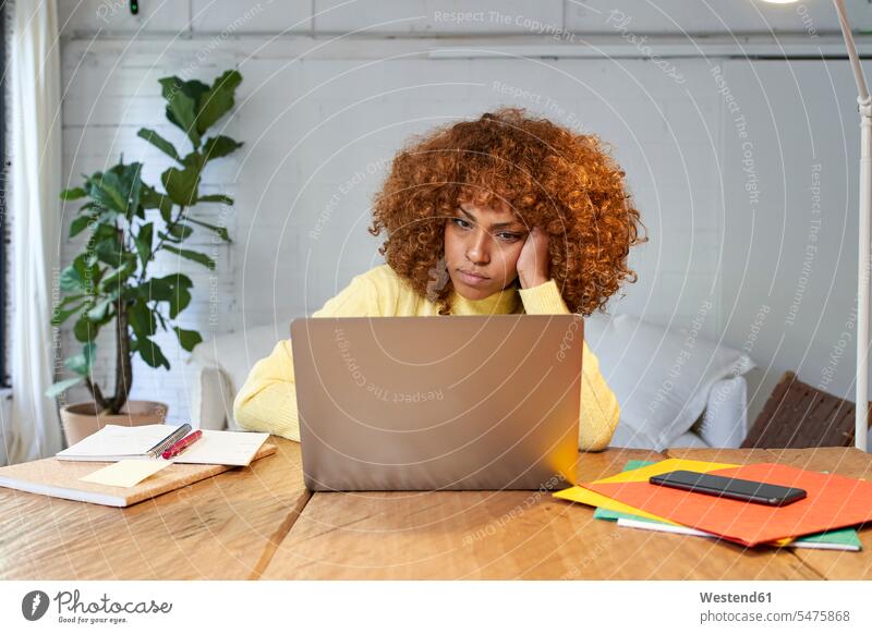 Gelangweilte Geschäftsfrau mit Hand im Haar, die zu Hause am Laptop arbeitet Farbaufnahme Farbe Farbfoto Farbphoto Innenaufnahme Innenaufnahmen innen drinnen
