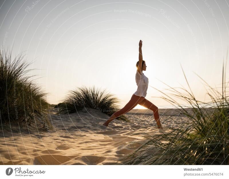 Junge Frau praktiziert Yoga in Kriegerposition inmitten von Pflanzen am Strand vor klarem Himmel bei Sonnenuntergang Farbaufnahme Farbe Farbfoto Farbphoto