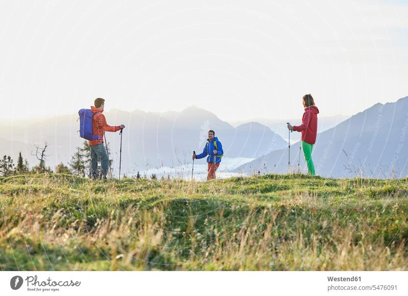 Österreich, Tirol, Mieminger Hochplateau, Wanderer auf Almen Wiese Wiesen Bergwiese Almwiese Bergwiesen wandern Wanderung stehen stehend steht Outdoor