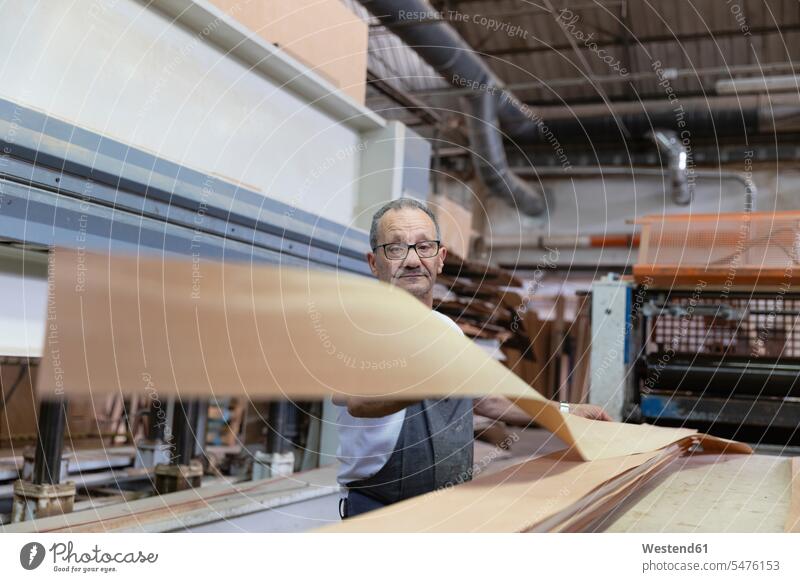 Mann benutzt Holzkaschiermaschine, während er in der Fabrik steht Farbaufnahme Farbe Farbfoto Farbphoto Innenaufnahme Innenaufnahmen innen drinnen Arbeitsplatz