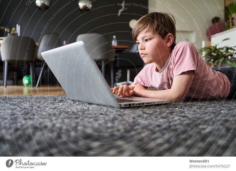 Auf dem Boden liegender Junge, der am Laptop arbeitet Rechner Laptops Notebook Notebooks Teppiche liegt daheim zu Hause konzentrieren konzentriert Anschluss
